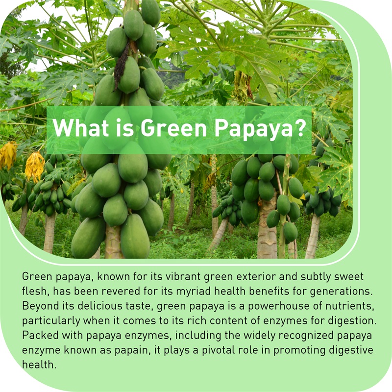 Green Papaya - Melhorar o sist - Licorice Root Extract avaliação e preço
